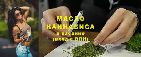 твердый Сатка