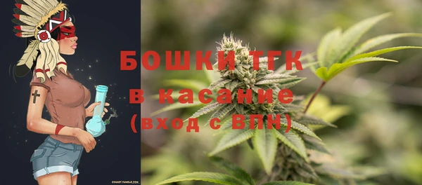 стаф Семилуки
