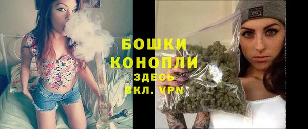 дживик Семикаракорск
