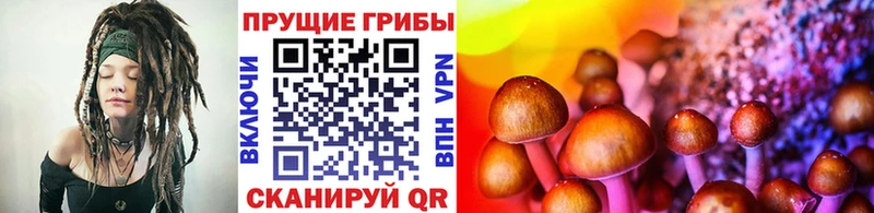 Купить  Инта  Галлюциногенные грибы ЛСД 